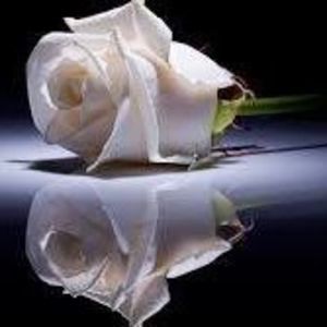 Meet your Posher, Maria de fatima